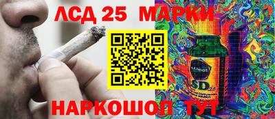 PSILOCYBIN Тула