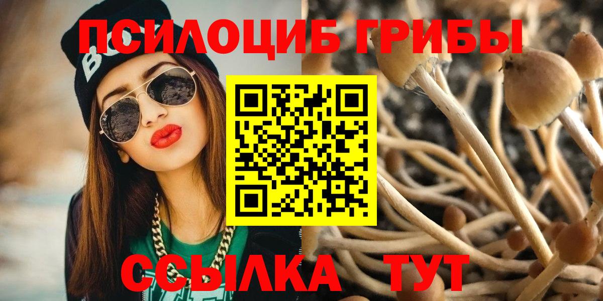 Галлюциногенные грибы Psilocybine cubensis  Вход с VPN  Омск  Галлюциногенные грибы прущие грибы 